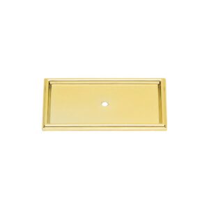 Campaign Rope Backplate