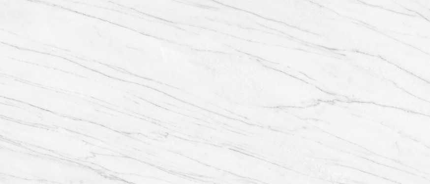 Calacatta Lasa Classic Quartzite countertop — slab view