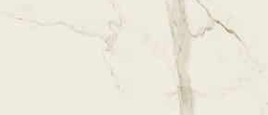 Calacatta Oro Venato sintered stone countertop — slab view
