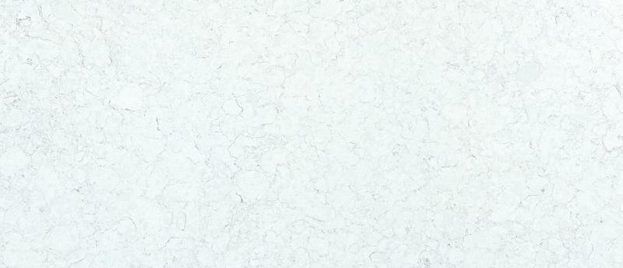 Carrara Trinita quartz countertop — slab view