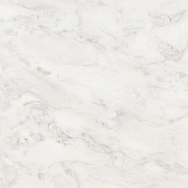 Le Blanc Quartzite countertop — closeup view