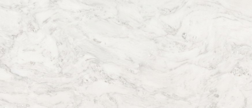 Le Blanc Quartzite countertop — slab view