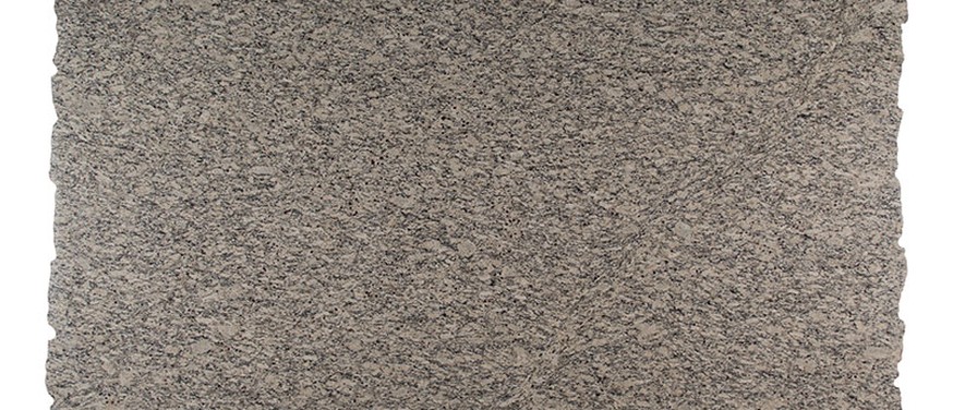 Santa Cecilia Light Granite countertop — slab view